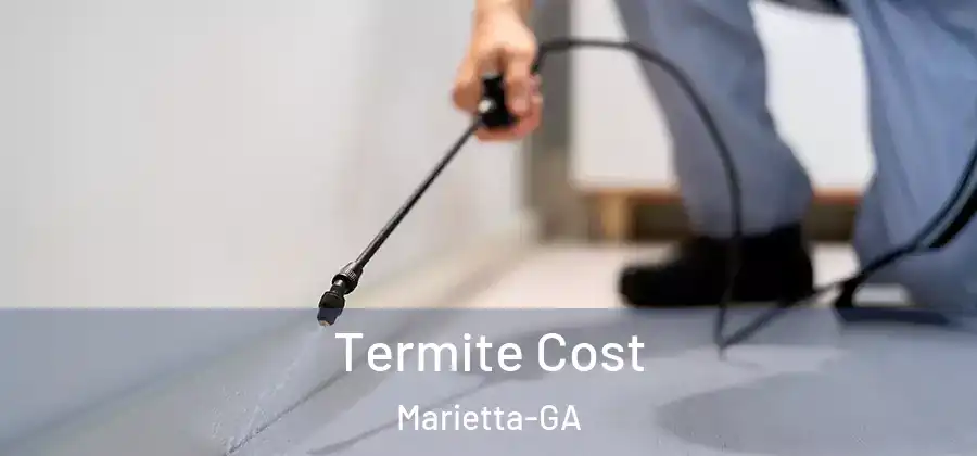 Termite Cost Marietta-GA