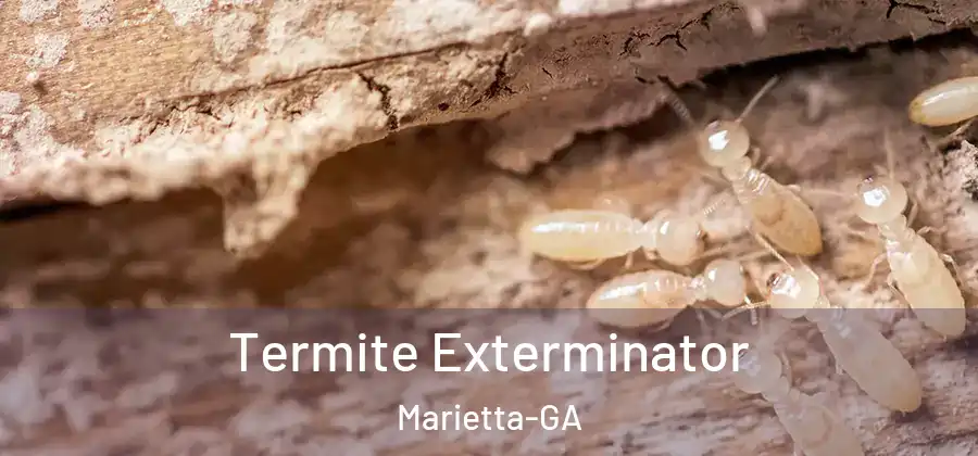  Termite Exterminator Marietta-GA