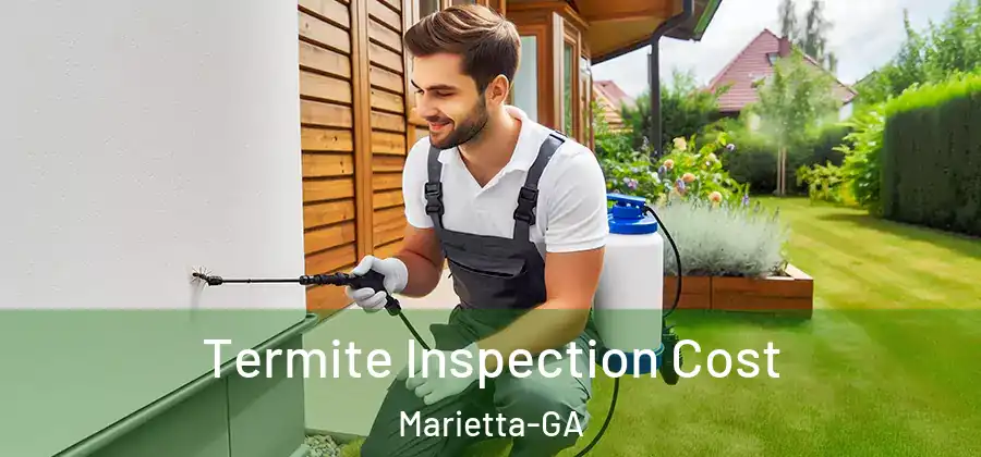 Termite Inspection Cost Marietta-GA