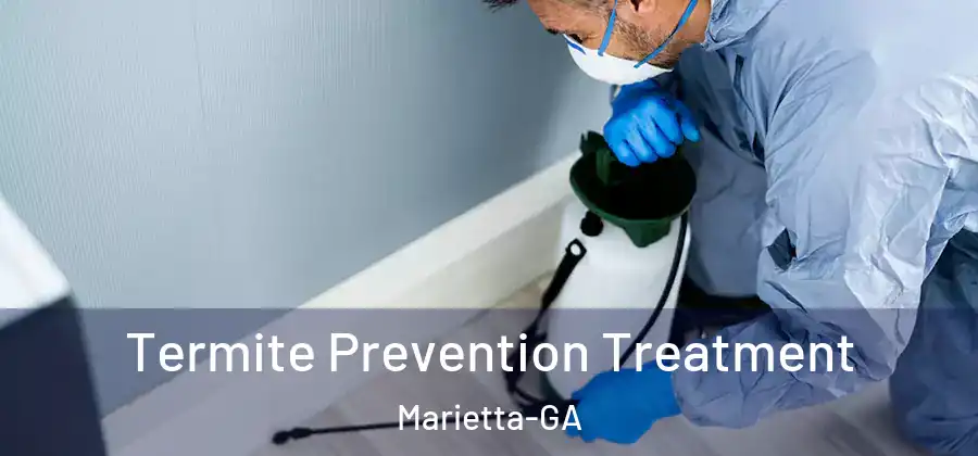 Termite Prevention Treatment Marietta-GA