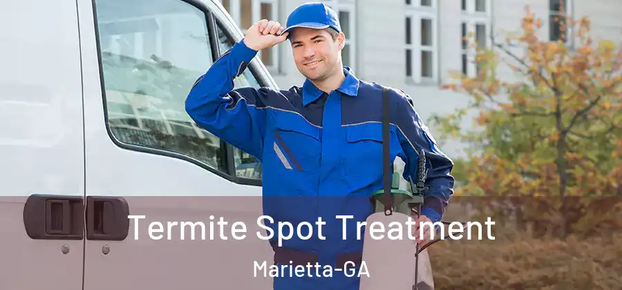  Termite Spot Treatment Marietta-GA
