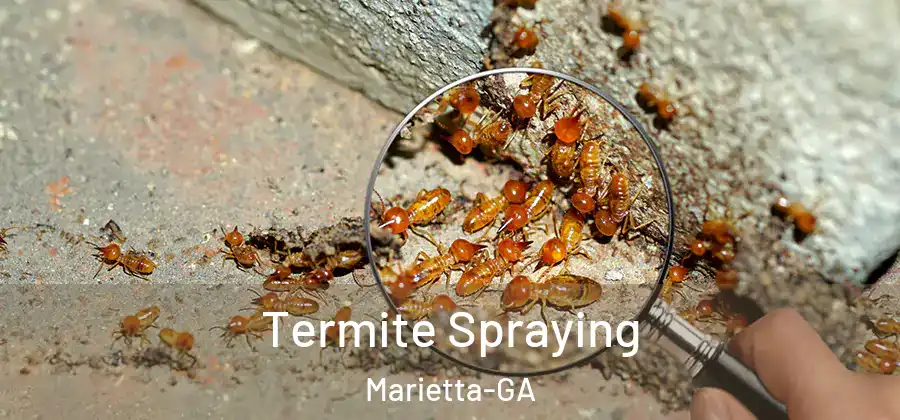 Termite Spraying Marietta-GA
