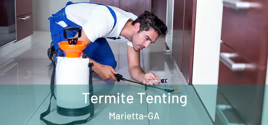  Termite Tenting Marietta-GA
