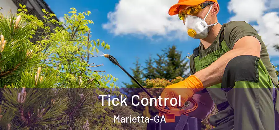 Tick Control Marietta-GA