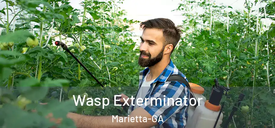  Wasp Exterminator Marietta-GA
