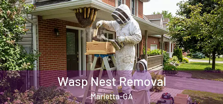  Wasp Nest Removal Marietta-GA