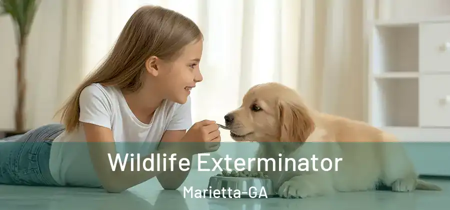 Wildlife Exterminator Marietta-GA