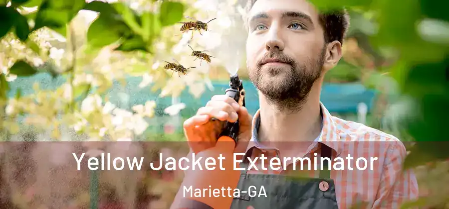 Yellow Jacket Exterminator Marietta-GA