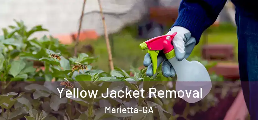  Yellow Jacket Removal Marietta-GA